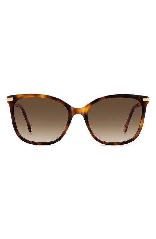 Carolina Herrera 55mm Gradient Rectangular Sunglasses In Havana/brown Sf