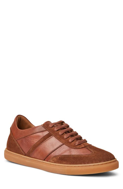 Shop Bruno Magli Baccio Sneaker In Cognac