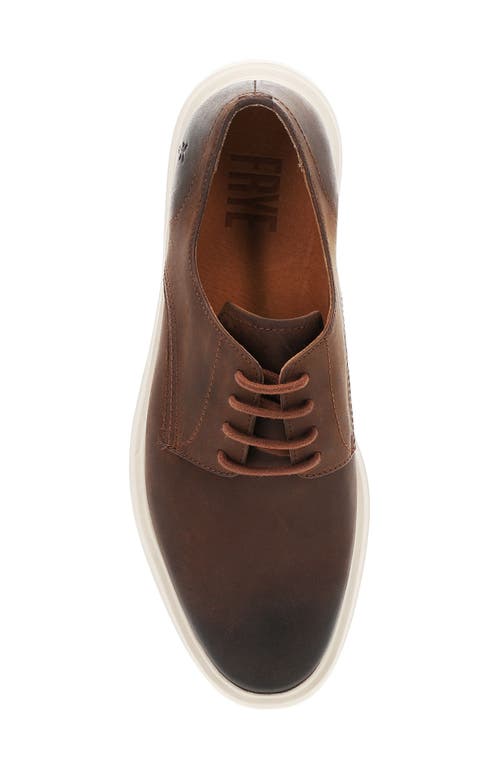 Shop Frye Connor Derby In Chocolate