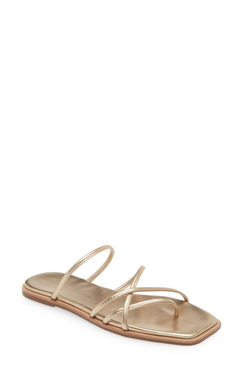 Kaanas Kapok Slide Sandal in Gold at Nordstrom, Size 6