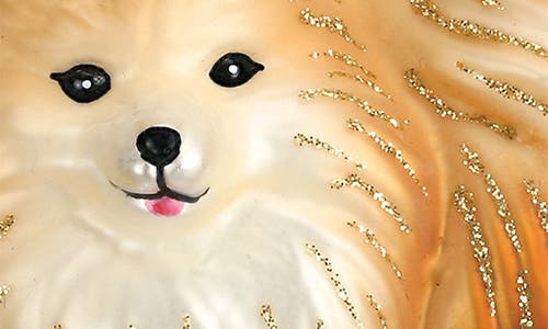 Old World Christmas Pomeranian Glass Ornament In Gold/white