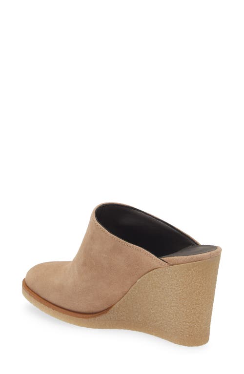 Shop Cordani Florie Wedge Mule In Biscuit