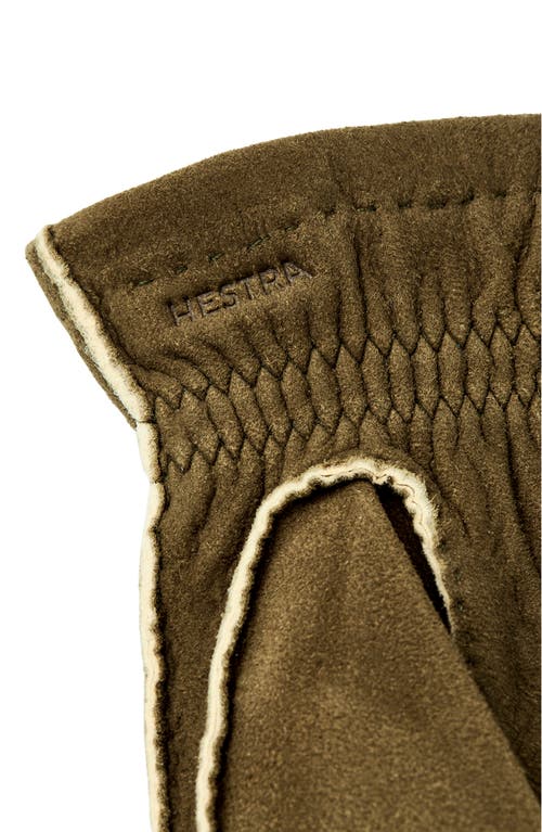 Shop Hestra Andre Suede Gloves In Loden