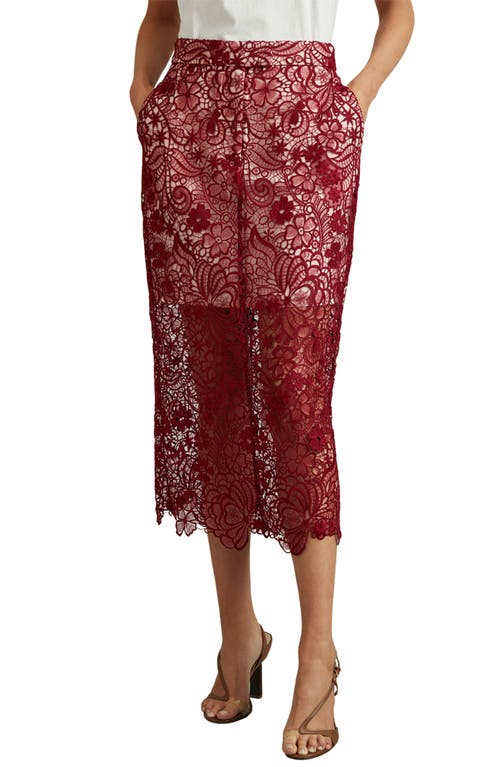 Shop Reiss Flo Lace Midi Skirt In Burgundy