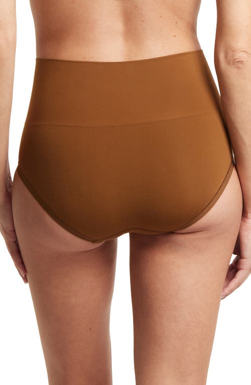 Shop Hanky Panky Body Boyshorts In Macchiato