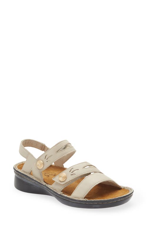 Shop Naot Cadence Sandal In Soft Ivory/radiant Gold