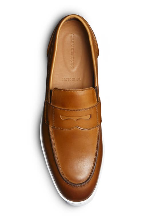 Shop Allen Edmonds Randolph Slip-on Sneaker In Walnut