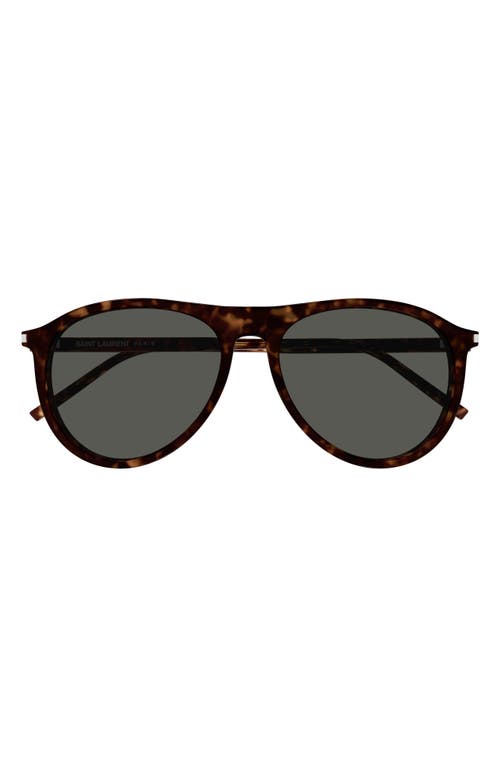 Shop Saint Laurent 56mm Pilot Sunglasses In Havana