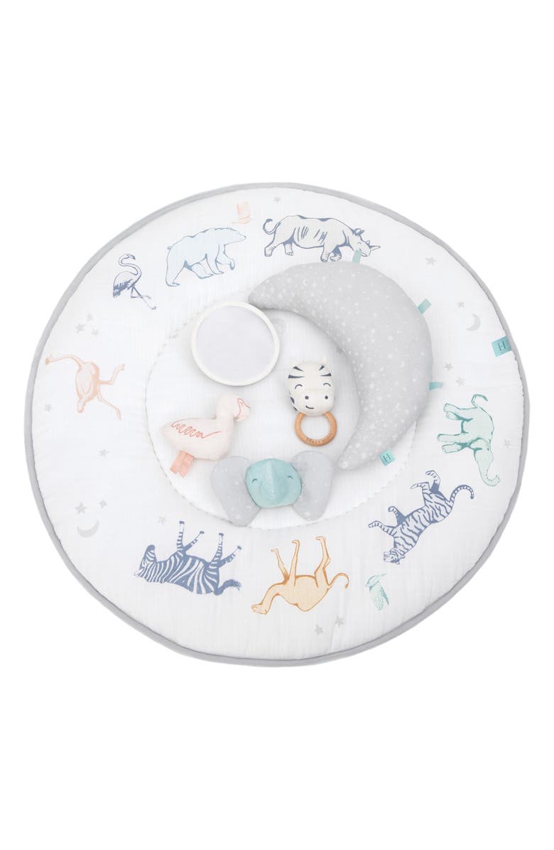 aden + anais Play & Discover Baby Activity Gym Nordstrom