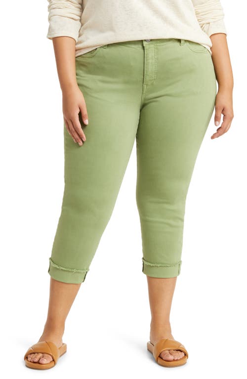 KUT from the Kloth Amy Frayed Crop Slim Straight Leg Jeans in Green Apple