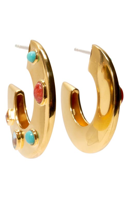 Saucer Multistone Dot Hoop Earrings in Gold