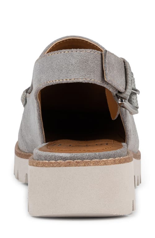 Donald Pliner Essex Suede Slingback Loafer In Dove