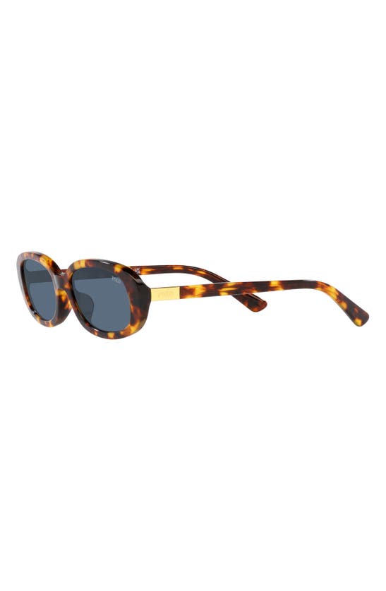Shop Polo Ralph Lauren 53mm Oval Sunglasses In Shiny Havana