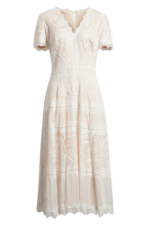Tadashi Shoji Lace & Mesh Midi Cocktail Dress In Ivory/petal