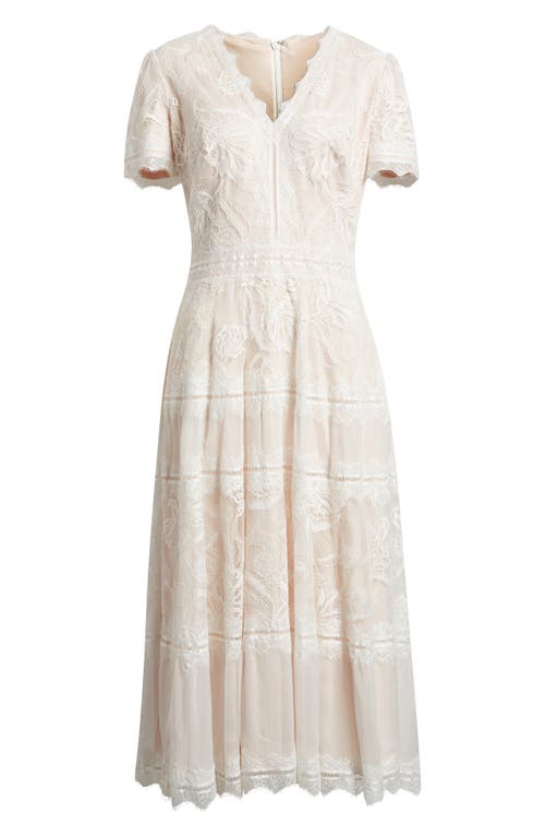 Shop Tadashi Shoji Lace & Mesh Midi Cocktail Dress In Ivory/petal