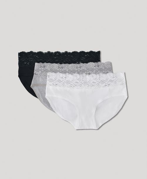 Pact Organic Lace Waist Brief 3-pack In Heather Basics