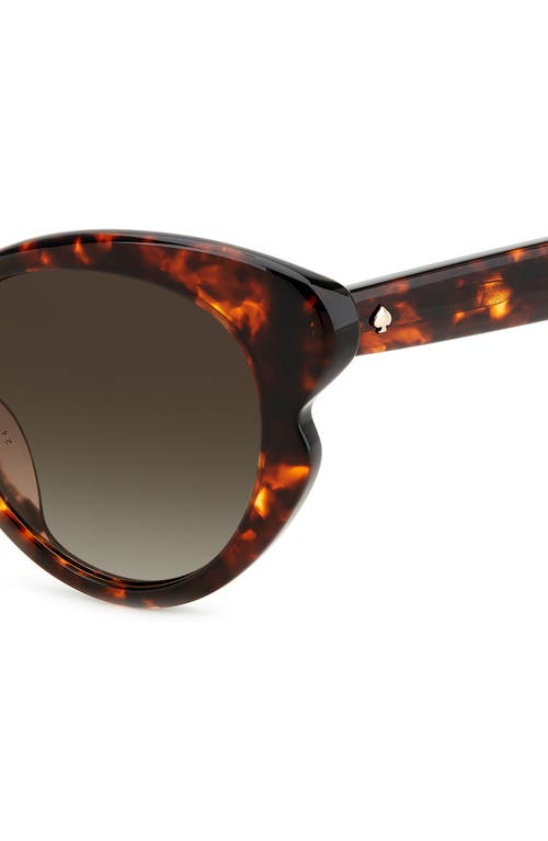 Kate Spade New York Paisleigh 55mm Gradient Cat Eye Sunglasses In Havana/brown Gradient