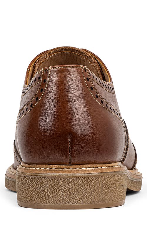 Donald Pliner Keelan Wingtip Oxford In Whiskey/whiskey