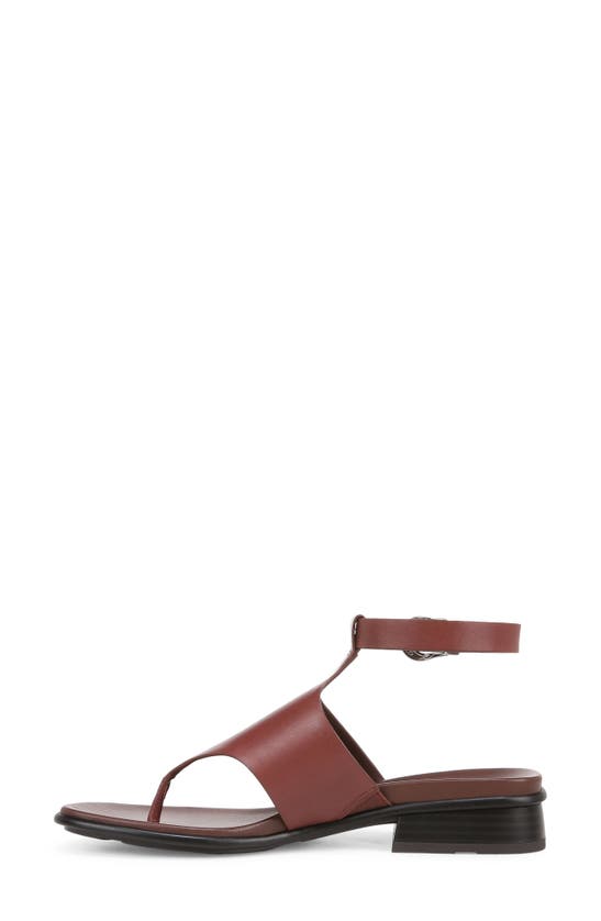 Shop 27 Edit Naturalizer Beck Ankle Strap Sandal In Cappucino Leather