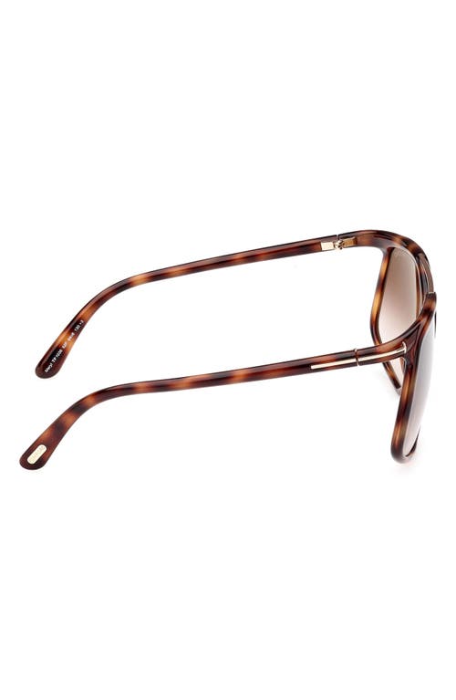 Shop Tom Ford Meryl 64mm Gradient Polarized Oversize Square Sunglasses In Shiny Havana Rose Gold/brown
