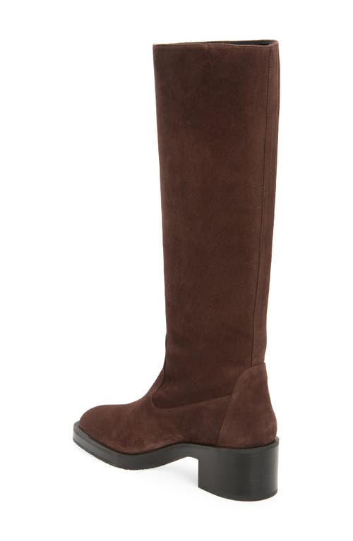 Shop Stuart Weitzman Kaia Knee High Boot In Hickory Sport Suede