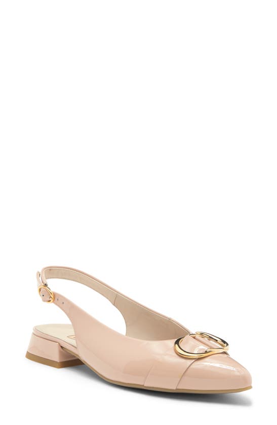 Shop Paul Green Tara Slingback Pointed Toe Pump In Frappe Soft Patent