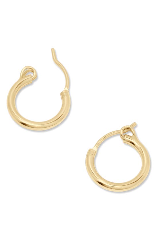 Shop Brook & York Nellie Hoop Earrings In Gold - 13mm