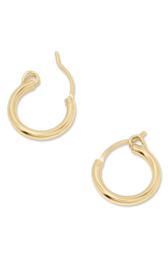 Brook & York Nellie Hoop Earrings In Gold - 13mm