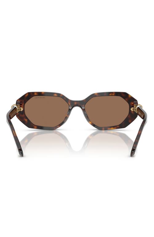 Swarovski 54mm Irregular Sunglasses In Dark Havana