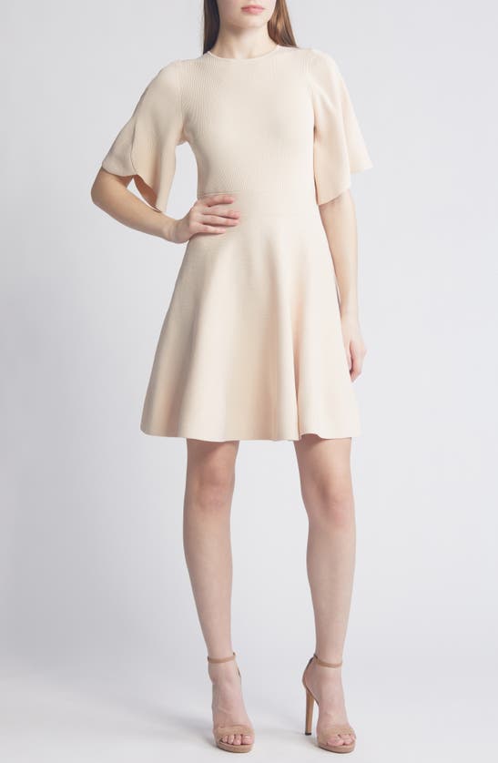 Shop Ted Baker Olivia Rib Fit & Flare Dress In Light Pink