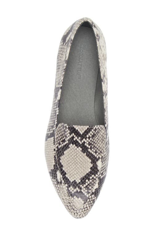 Chocolat Blu Ace Pointed Toe Loafer In Black-white Embossed Snake