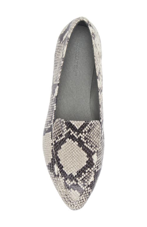 Shop Chocolat Blu Ace Pointed Toe Loafer In Black-white Embossed Snake