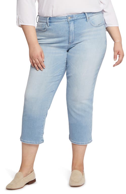 NYDJ Piper High Waist Ankle Relaxed Straight Leg Jeans in Hollander at Nordstrom, Size 20W