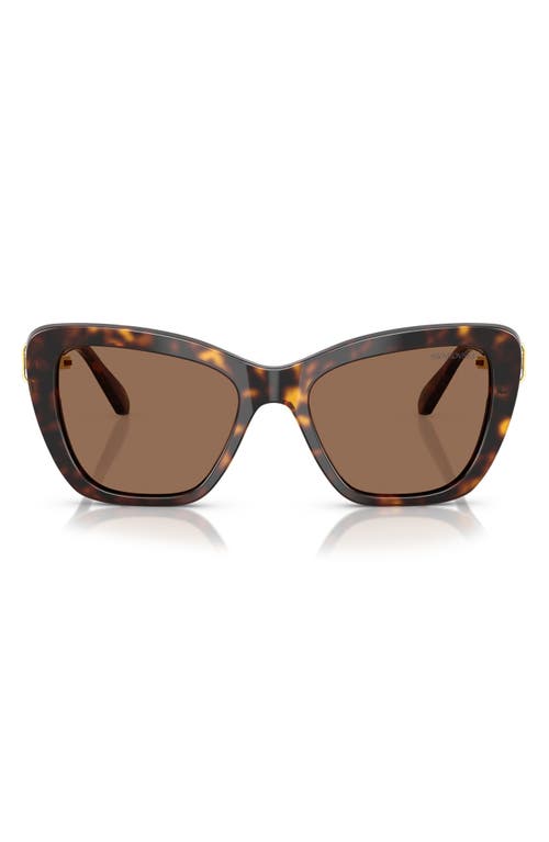 Swarovski 52mm Cat Eye Sunglasses In Havana