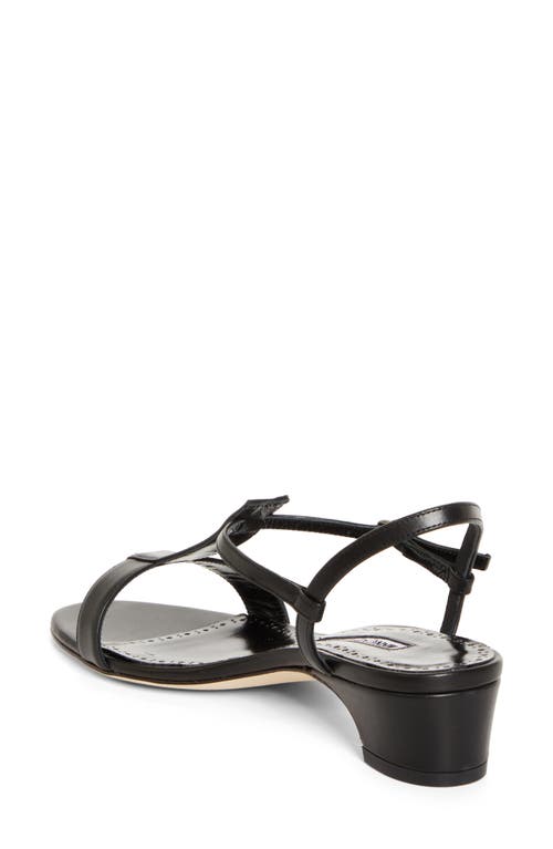 Shop Manolo Blahnik Virnana Block Heel Sandal In Black