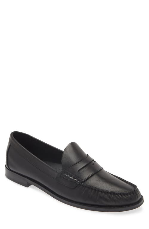 Steve Madden Kingston Penny Loafer at Nordstrom,