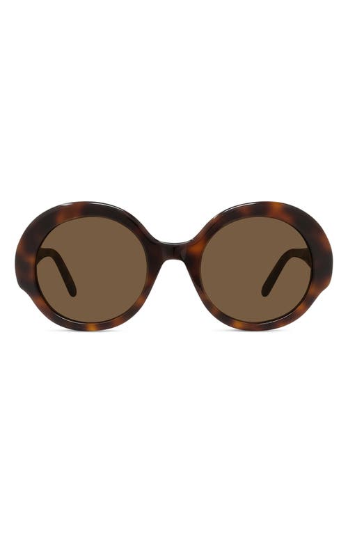 Loewe Thin 52mm Round Sunglasses in Dark Havana /Brown at Nordstrom