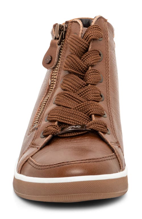 Shop Ara Rei Sneaker In Brown