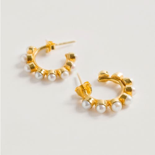 Shop Freya Rose Mini Stud Pearl Hoops Earrings In Gold
