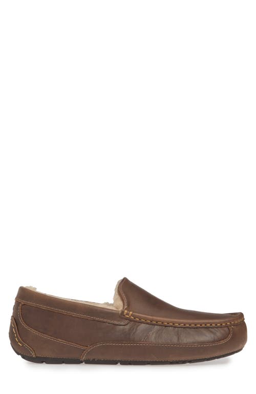 Shop Ugg(r) Ascot Leather Slipper In Tan Leather