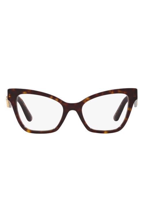 Dolce & Gabbana 52mm Cat Eye Optical Glasses in Havana at Nordstrom