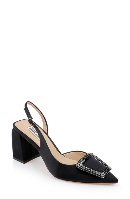 BADGLEY MISCHKA BADGLEY MISCHKA COLLECTION ADALINE SLINGBACK POINTED TOE PUMP 