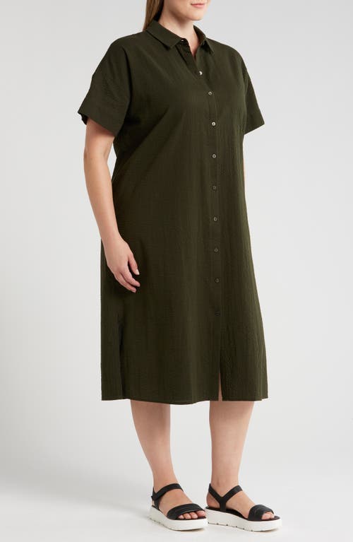 Shop Eileen Fisher Short Sleeve Organic Cotton Shirtdress In Seaweed