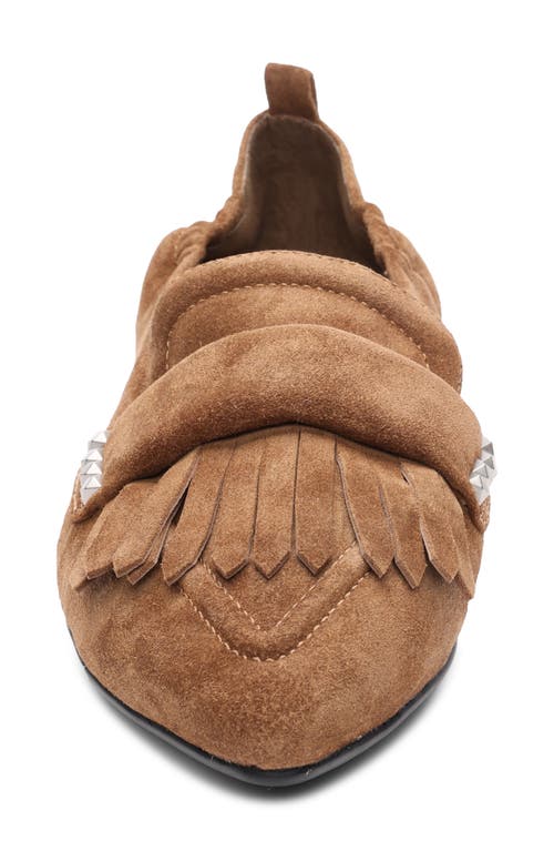 Ash Blitz Pointed Toe Loafer In Land