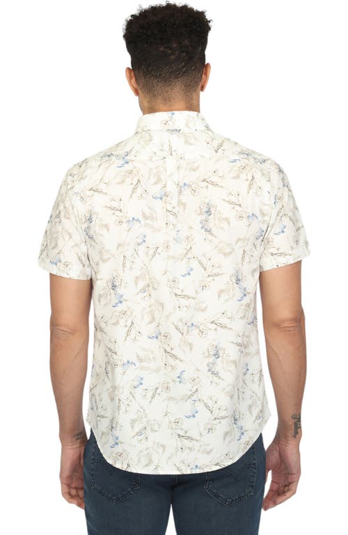 Vustra Men's Blue / White Dawn Blooms Print In White