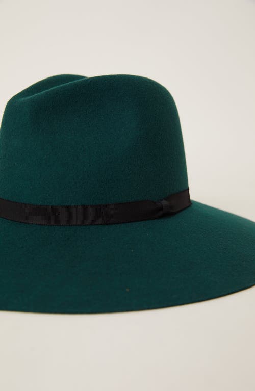 Btb Los Angeles Sofie Hat In Hunter