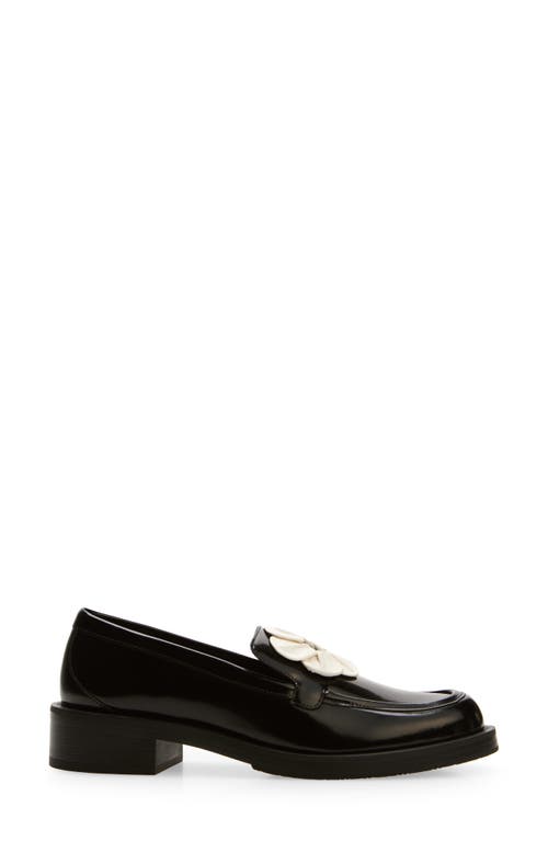 Shop Stuart Weitzman X Sandy Liang Loafer In Black/cream