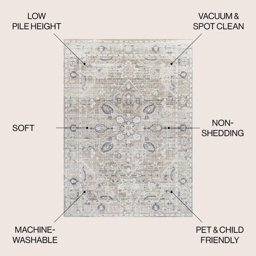Jonathan Y Shaii Global Medallion Low-pile Machine-washable Area Rug In Light Gray/brown