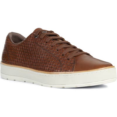 Geox Ariam 14 Sneaker, US / 44EU - Brown