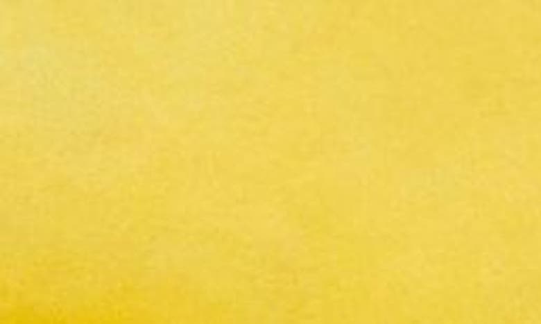 Lafayette 148 Slide Sandal In Golden Yellow